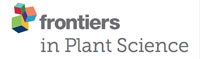 Frontiers in Plant Science 