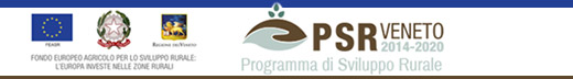 PSR