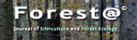 Forest@
